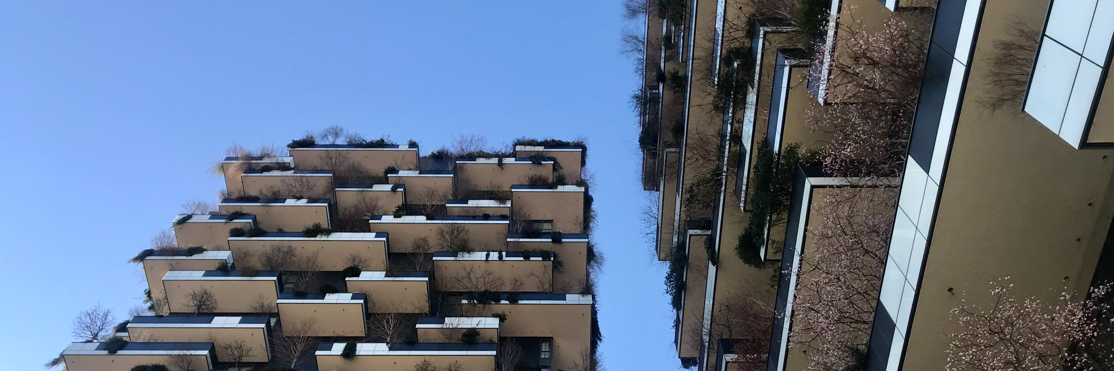 bosco_verticale_edited.jpg